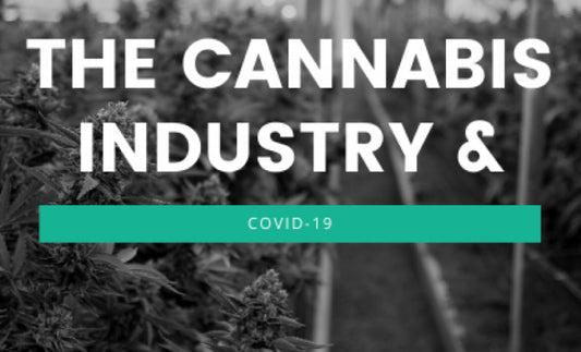 COVID-19 and Cannabis 2020